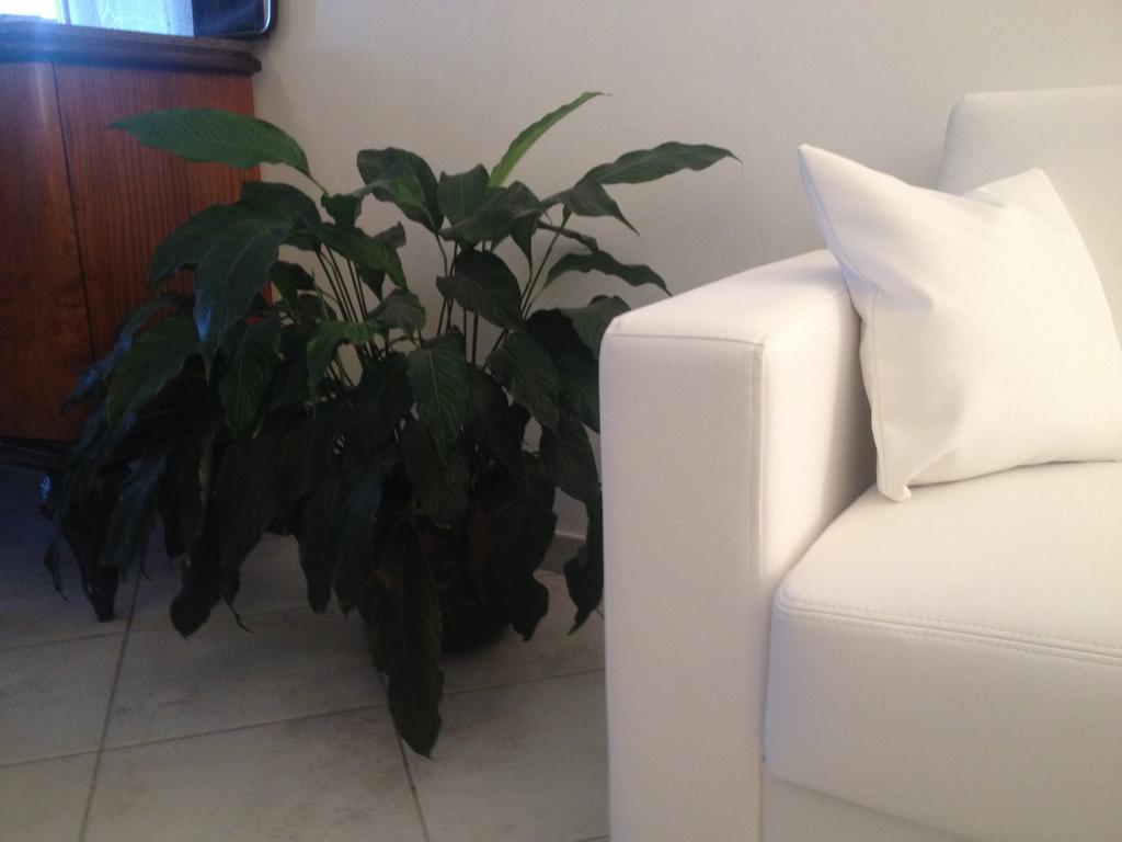 Via Roma Suite Ortona Extérieur photo
